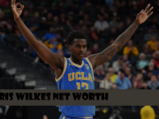 Kris Wilkes Net Worth